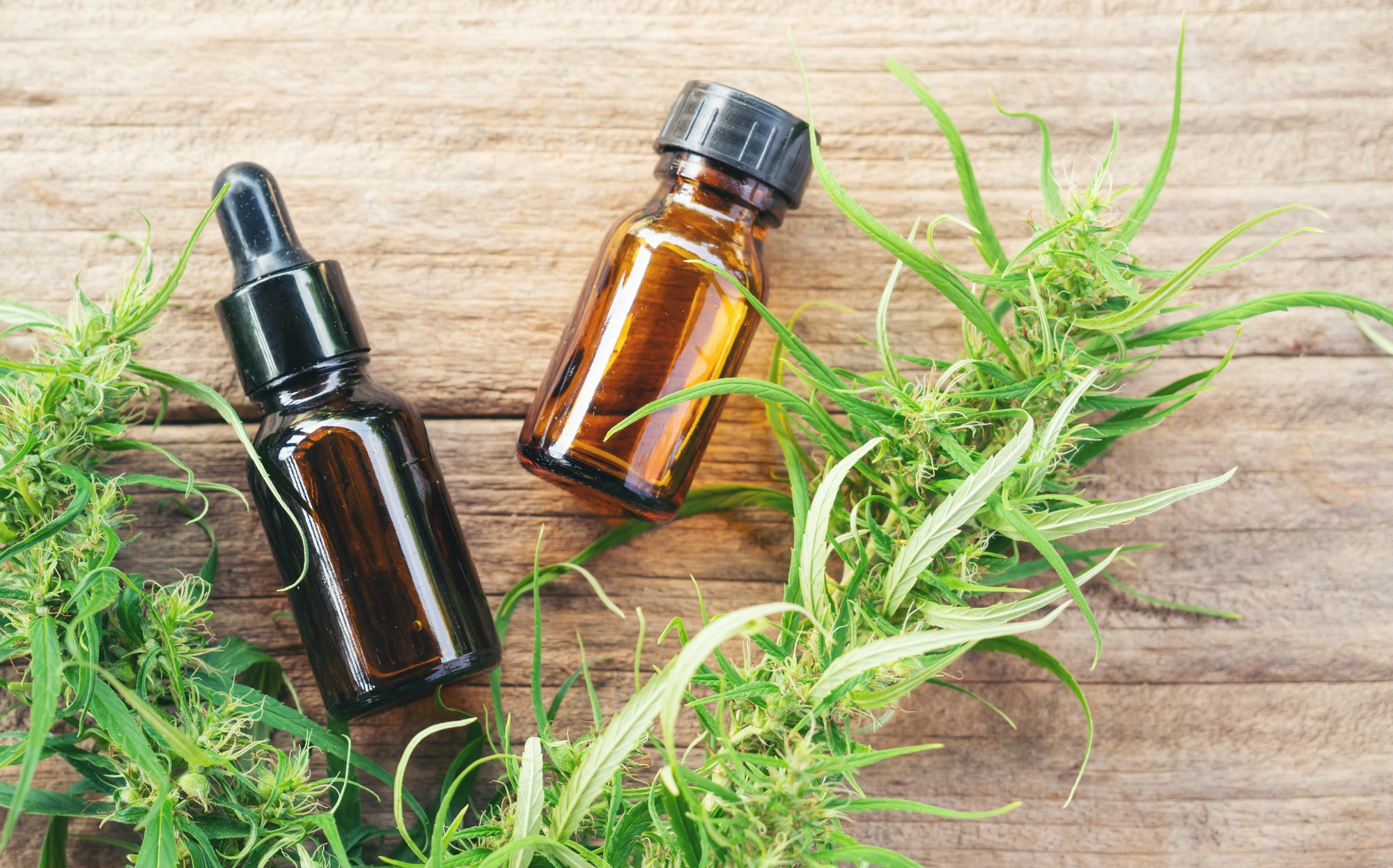 CBD Produkte - CBDuncles.ch